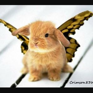 Meet your Posher, Leeann